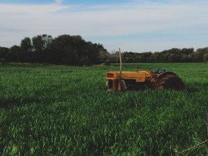 Image-Tractor